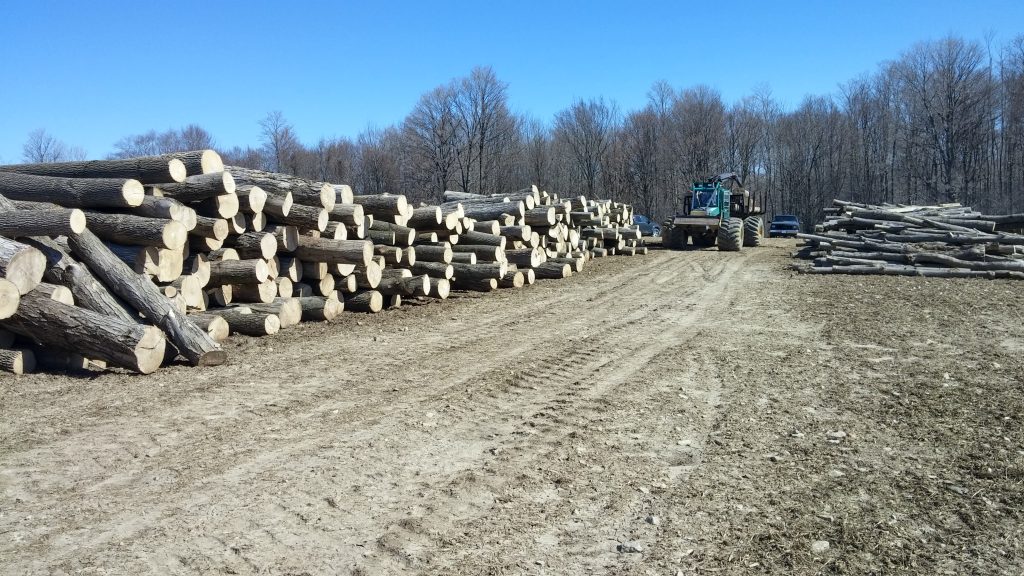 Lumber And Specialty Hardwoods Kitchener Forest Products